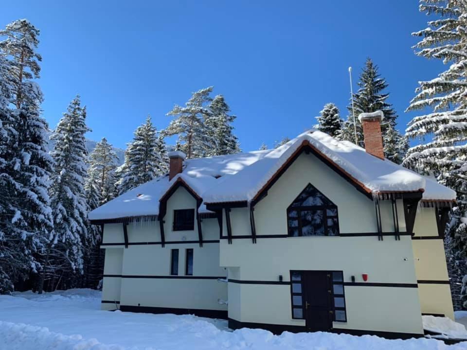 Berghof Eva - Hotel Panicsiste Kültér fotó